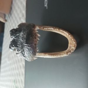 Genuine American Alligator Head!